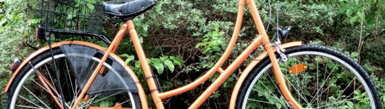 fahrrad betrunken führerschein verlieren in der probezeit